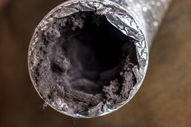 Best Duct Cleaning for Homes  in Rockledge, PA